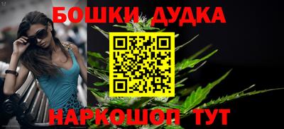 крисы Азнакаево