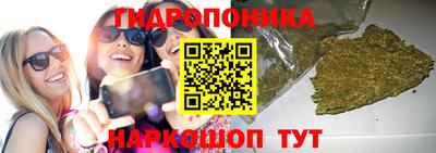 крисы Азнакаево