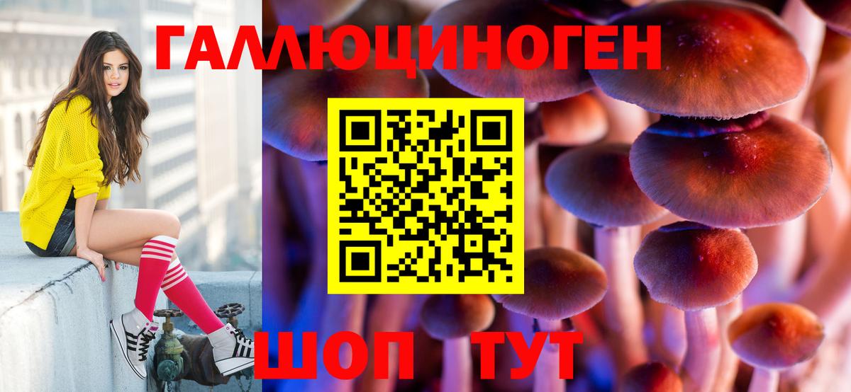 Галлюциногенные грибы GOLDEN TEACHER  Артёмовский  Галлюциногенные грибы Cubensis 