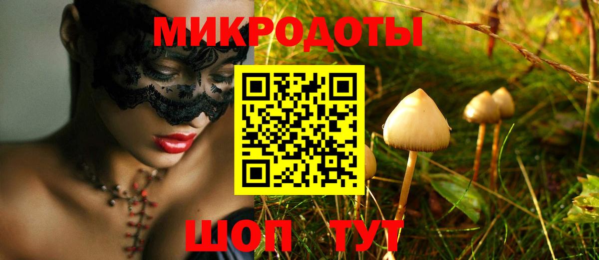 Псилоцибиновые грибы прущие грибы Артёмовский