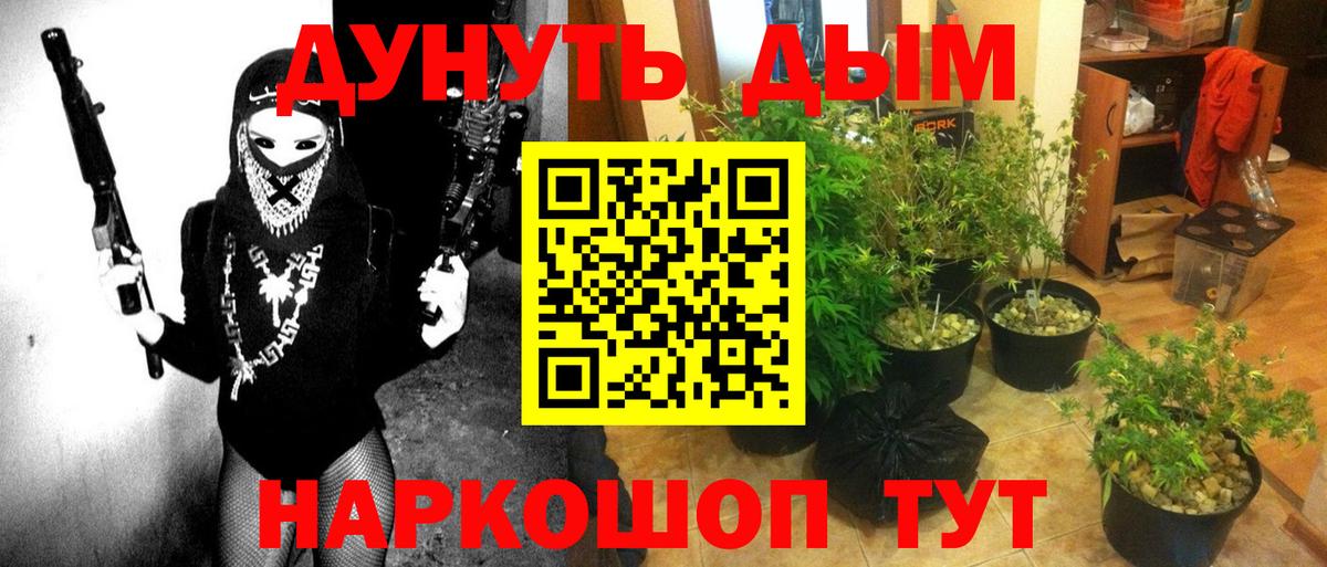 Бошки Шишки Ganja  Канабис ГИДРОПОН  Вход с VPN  Артёмовский 